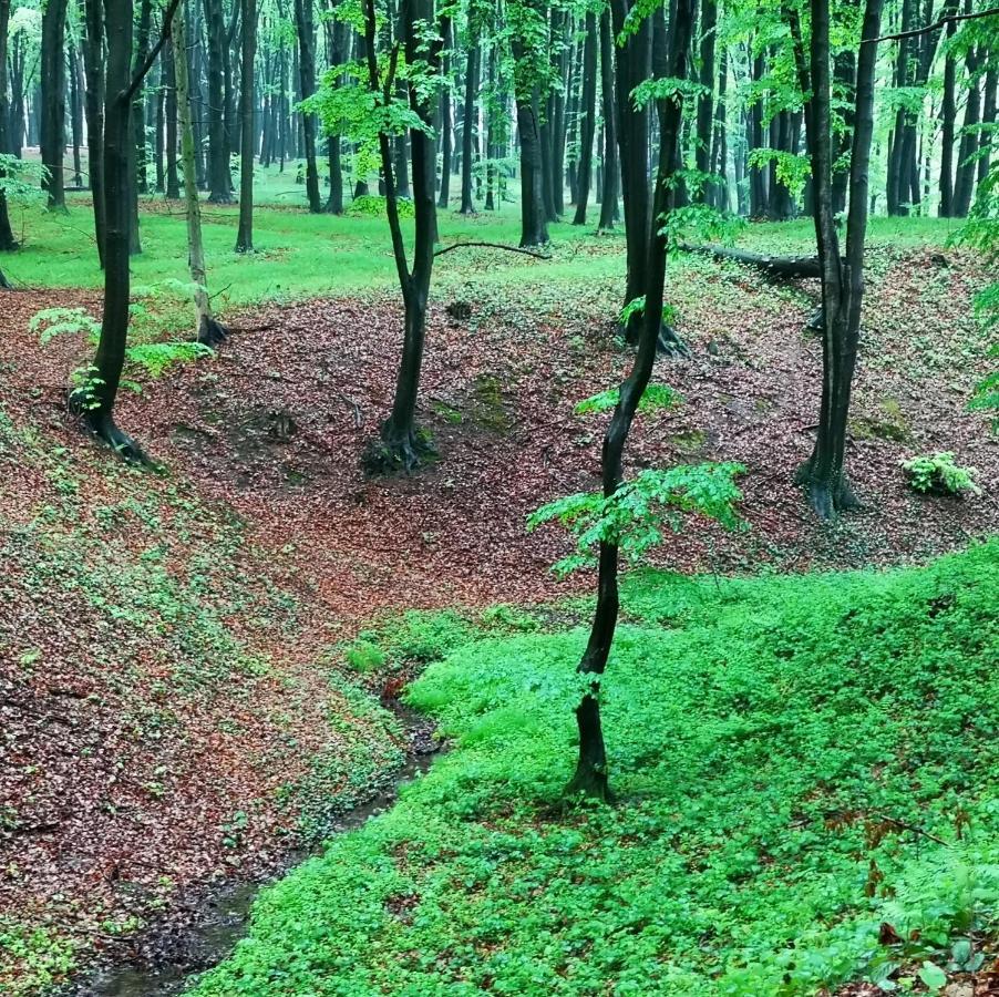 Ranczo W Dolinie Karpia - Blisko "Energylandii" Zator Vila Spytkowice  Exterior foto